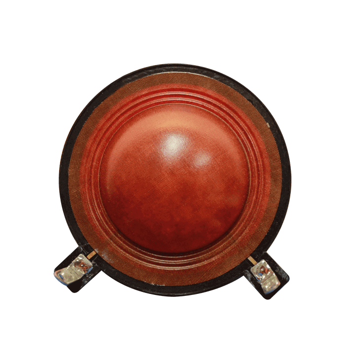 REEMPLAZO DE DIAFRAGMA 2PLG