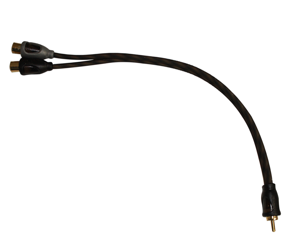 RCA 1 MACHO 2 HEMBRAS